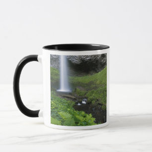 Latourell Falls, Columbia River Gorge, Oregon, Mok