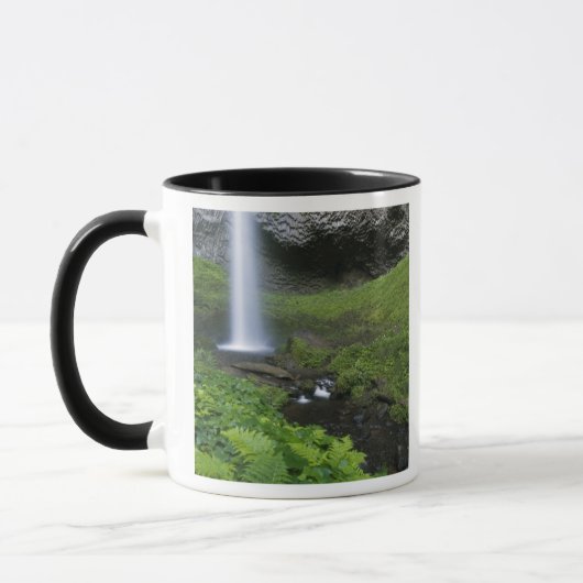 Latourell Falls, Columbia River Gorge, Oregon, Mok (Links)