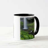 Latourell Falls, Columbia River Gorge, Oregon, Mok (Voorkant rechts)