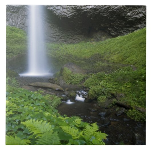 Latourell Falls, Columbia River Gorge, Oregon, Tegeltje (Voorkant)