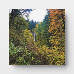 Latourell-Herfsten, Columbia River Gorge, Oregon Fotoplaat