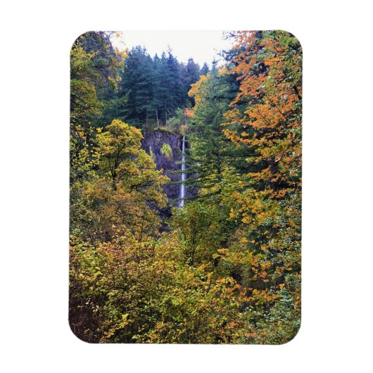 Latourell-Herfsten, Columbia River Gorge, Oregon Magneet (Verticaal)