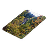Latourell-Herfsten, Columbia River Gorge, Oregon Magneet (Linkerzijde)