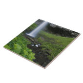 Latourell Herfsten, Columbia River Gorge, Oregon, Tegeltje (Zijkant)