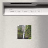 Latourell-Herfsten en Bridge Columbia River Gorge Magneet (Insitu (Vaatwasser))
