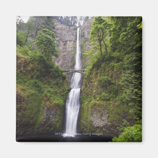 Latourell-Herfsten en Bridge Columbia River Gorge Magneet (Voorkant)
