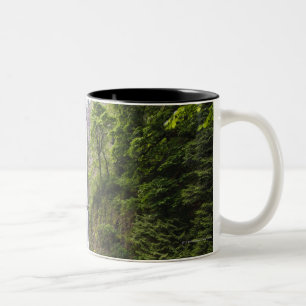 Latourell-Herfsten en Bridge Columbia River Gorge Tweekleurige Koffiemok