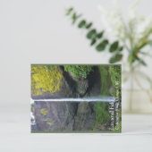 Latourell-Herfsten, OF Briefkaart (Staand voorkant)
