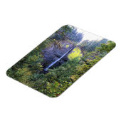 Latourell Herfsten, Oregon Magneet (Linkerzijde)