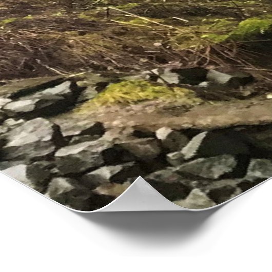 Latourell Herfsten, Oregon Poster (Hoek)