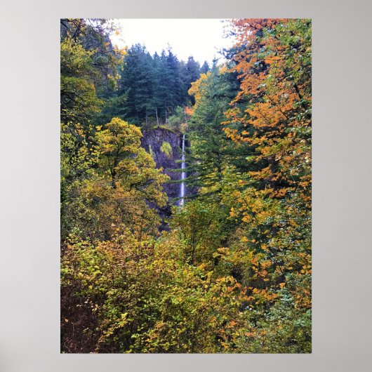 Latourell-waterval, Columbia River Gorge, Oregon Poster (Voorkant)