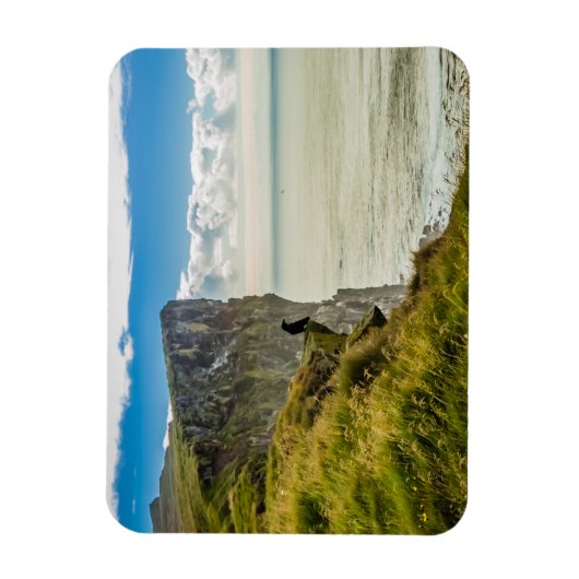 Latrabjarg cliffs, IJsland Magneet (Verticaal)