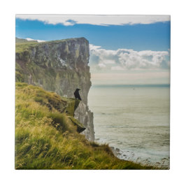 Latrabjarg cliffs, IJsland Tegeltje
