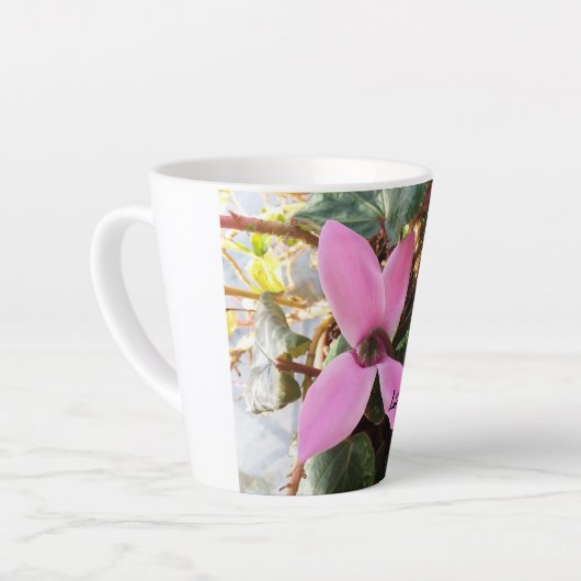 Latte Mok (Linkerhoek)