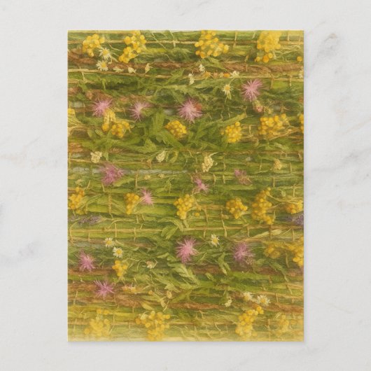 Latvian Wildflowers – Nature Preserved Briefkaart (Voorkant)