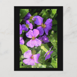 L'aubriète Briefkaart