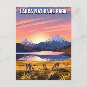 Lauca Nationaal Park Chili Reizen Briefkaart