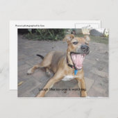 Laugh, alsof niemand toekijkt briefkaart (Voorkant / Achterkant)