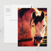 Laugh Briefkaart (Voorkant / Achterkant)