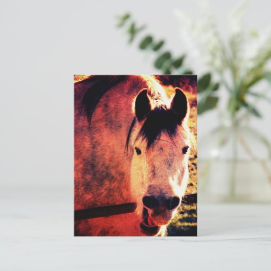 Laugh Briefkaart (Staand voorkant)