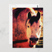 Laugh Briefkaart (Voorkant / Achterkant)