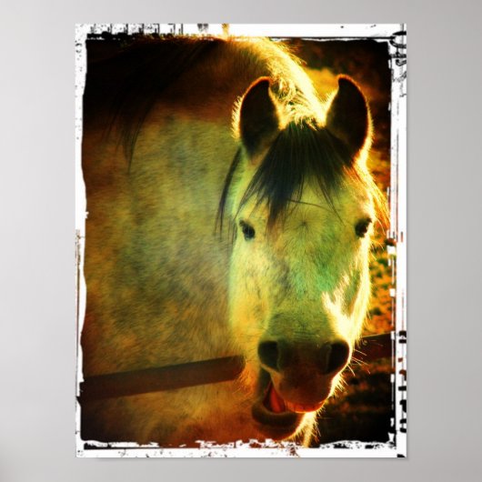 Laugh Poster (Voorkant)