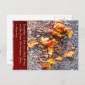 Laugher is de zon... briefkaart (Voorkant / Achterkant)