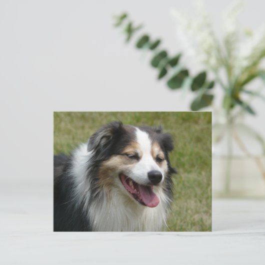 Laughing Aussie Dog Briefkaart (Staand voorkant)