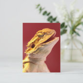 Laughing Bearded Dragon Briefkaart (Staand voorkant)