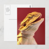 Laughing Bearded Dragon Briefkaart (Voorkant / Achterkant)