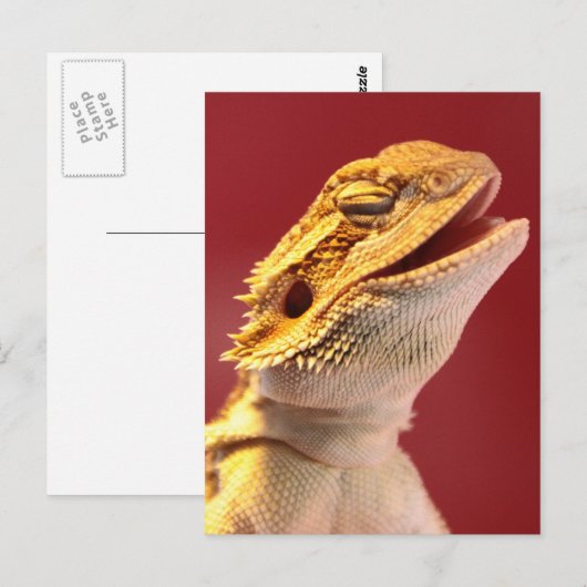 Laughing Bearded Dragon Briefkaart (Voorkant / Achterkant)