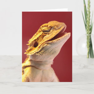 Laughing Bearded Dragon Kaart