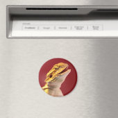 Laughing Bearded Dragon Magneet (Insitu (Vaatwasser))