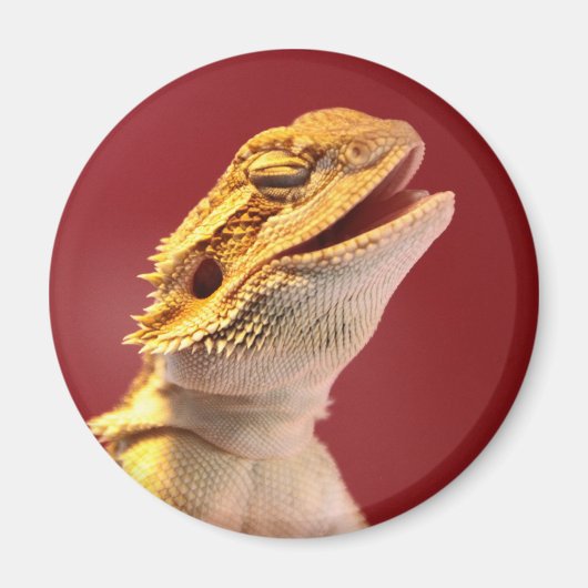 Laughing Bearded Dragon Magneet (Voorkant)