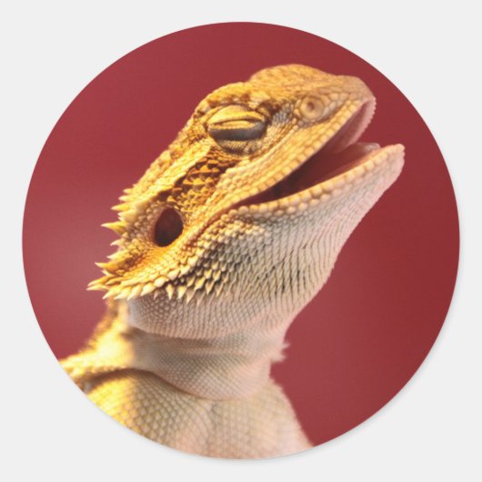 Laughing Bearded Dragon Ronde Sticker (Voorkant)
