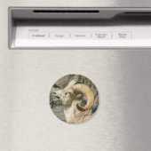 Laughing Bighorn Sheep Magneet (Insitu (Vaatwasser))