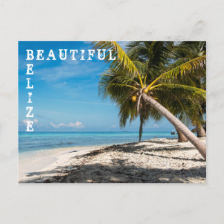 Laughing Bird Caye - Belize Briefkaart