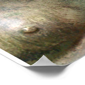 Laughing Buddha Poster (Hoek)