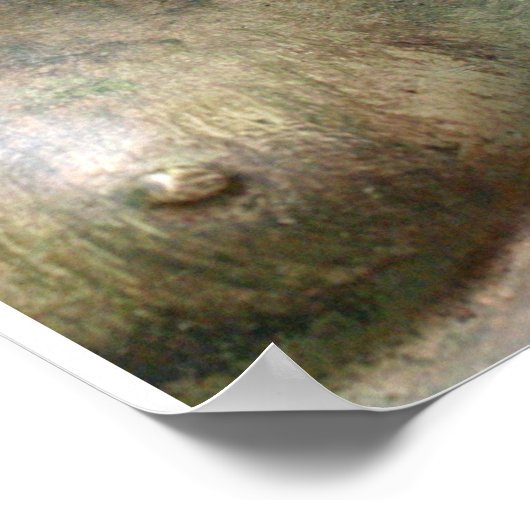 Laughing Buddha Poster (Hoek)