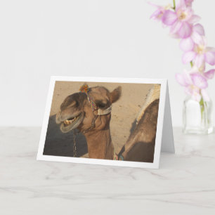 Laughing Camel Kaart