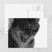 Laughing Cat Briefkaart (Voorkant / Achterkant)