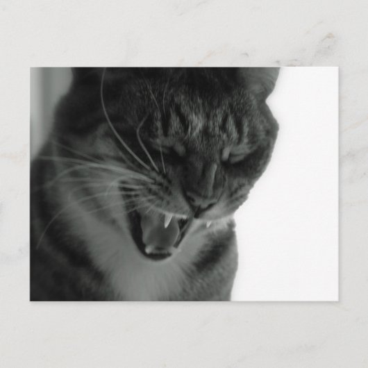 Laughing Cat Briefkaart (Voorkant)