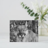 Laughing Cat Briefkaart (Staand voorkant)