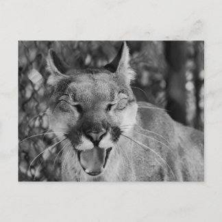 Laughing Cat Briefkaart