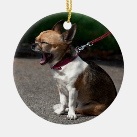 Laughing Chihuahua Keramisch Ornament (Voorkant)