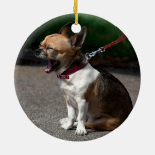 Laughing Chihuahua Keramisch Ornament