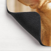 Laughing Chihuahua Muismat (Hoek)