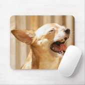 Laughing Chihuahua Muismat (Met muis)