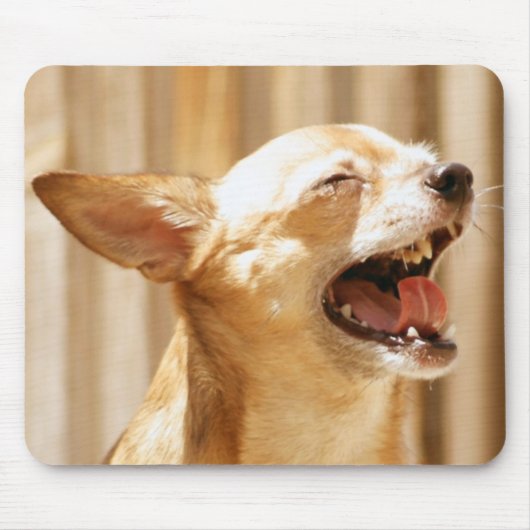 Laughing Chihuahua Muismat (Voorkant)