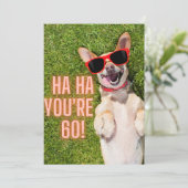 Laughing Dog 60th Birthday Briefkaart (Staand voorkant)